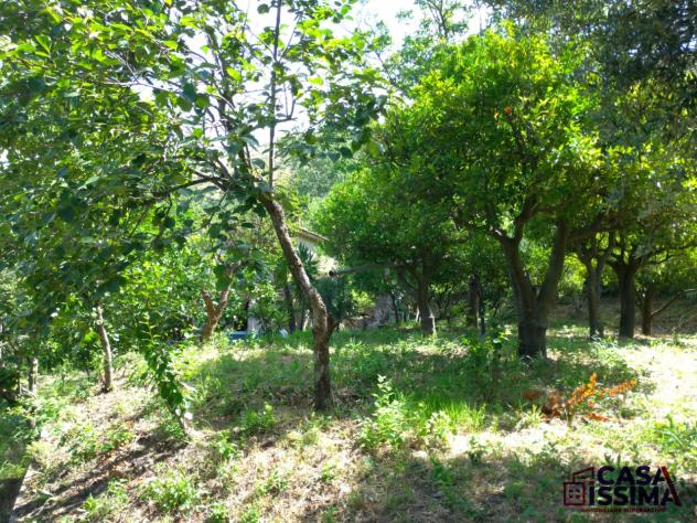 Frutteto in vendita a Nocera Inferiore