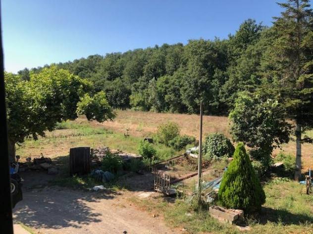 Terreno agricolo in Vendita in zona GHIZZANO con giardino - Foto 2