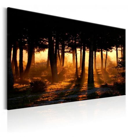 Quadro Foresta Nera 90x60 E 120x80 ARREDALACASA