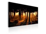 Quadro Foresta Nera 90x60 E 120x80 ARREDALACASA