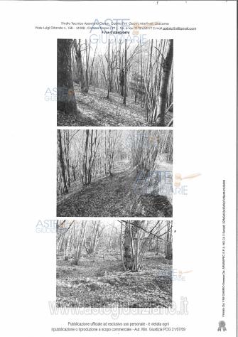 IMMOBILI-ALTRA CATEGORIA-Via Le Cavi - Foto 2