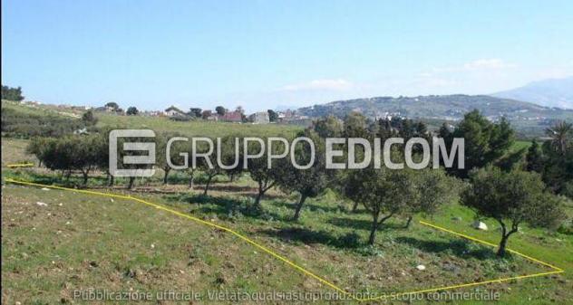 Terreno in vendita a Valderice - Rif. 4551069 - Foto 2