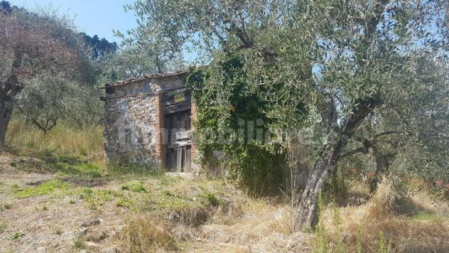 Rustico in vendita a Capannori 20 mq Rif: 1309913