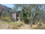 Rustico in vendita a Capannori 20 mq  Rif: 1309913