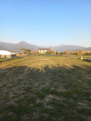 Agricolo in affitto a Pietrasanta