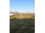 Agricolo in affitto a Pietrasanta
