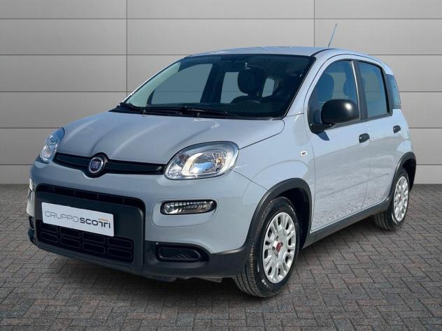 FIAT Panda 3ª serie 1.0 FireFly S&S Hybrid