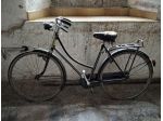 Bicicletta da donna Willer