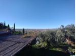 Terreno agricolo in vendita a Vallecchia - Pietrasanta 3000 mq  Rif: 1283046