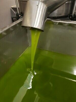 Olio extravergine di oliva di Carmignano dell annata 2024 - Foto 3
