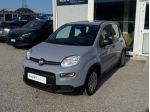 FIAT Panda III 2021 1.0 firefly hybrid s&s 70cv 5p.ti