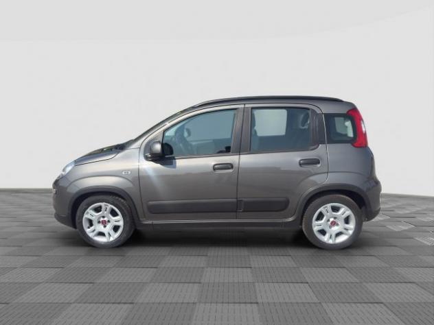 FIAT Panda Panda 1.0 FireFly Hybrid City Life rif. 23807031 - Foto 3