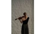 Violinista per cerimonie di matrimonio