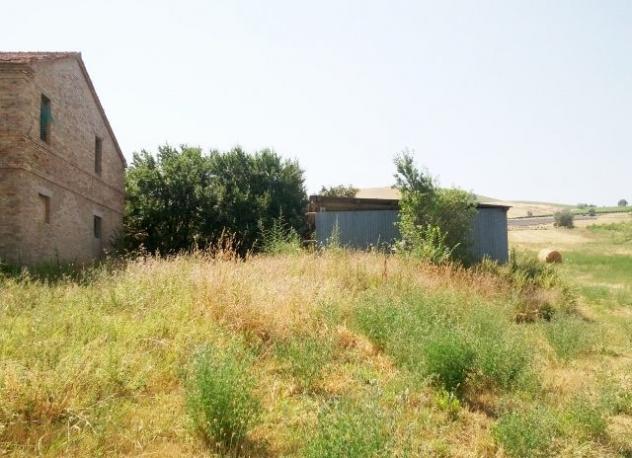 Casale in vendita a Offida - Foto 5
