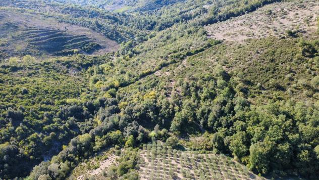 Agricolo in Via Piano Grande - Foto 10