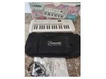 Pianola per alunni scuole medie