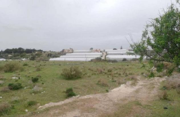 Immobile in asta di 2800 m² in vendita a Santa Croce Camerina - Foto 5