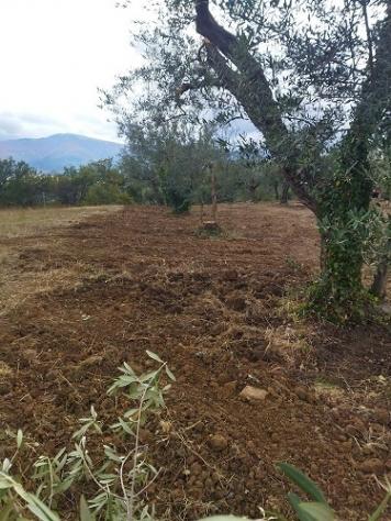 Terreno edificabile in vendita a Filetto - Foto 9