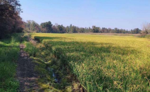 Immobile in asta di 22 m² in vendita a Ozzero - Foto 7