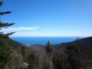 Bilocale in affitto a Sanremo