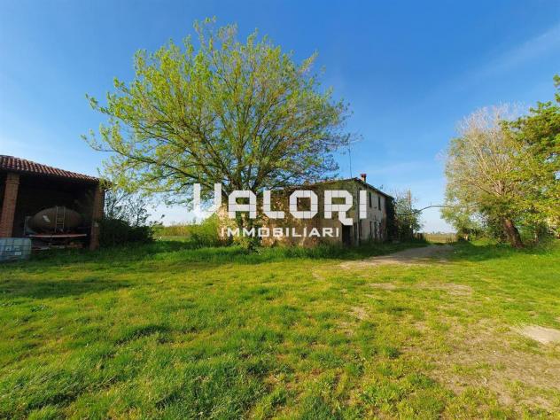 PODERE AGRICOLO DI HA 14.5 CON CASA COLONICA E SERVIZI - Foto 3