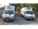 Autocarro frigo IVECO DAILY 35.10