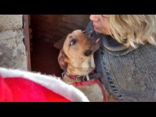 CHARLY, dolcissimo cane in cerca d'amore URGENTE