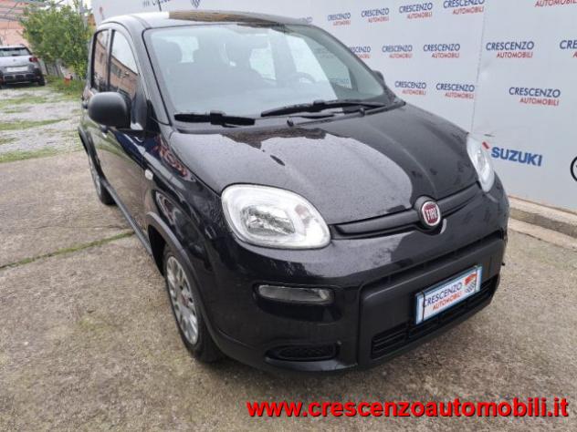 FIAT Panda 1.0 FireFly S&S Hybrid Pandina - AZIENDALE rif. 23794277 - Foto 6