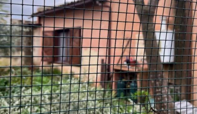 Immobile in asta di 171 m² in vendita a Marsala - Foto 10
