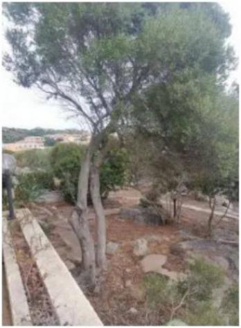 Immobile in asta di 114 m² in vendita a Santa Teresa Gallura - Foto 3