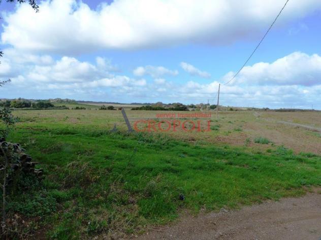 VIA CASALE DI SPANORA - CASA RURALE E TERRENO AGRICOLO IN VENDITA - Foto 13