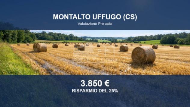 Immobile in asta di 1028 m² in vendita a Montalto Uffugo