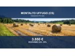 Immobile in asta di 1028 m² in vendita a Montalto Uffugo