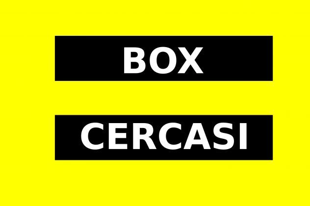 CERCO BOX/ POSTO AUTO IN AFFITTO ZONA MACCHIA GIALLA