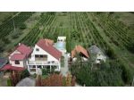 Casa con annessi piscina e vigneto a Vinica  Slovacchia