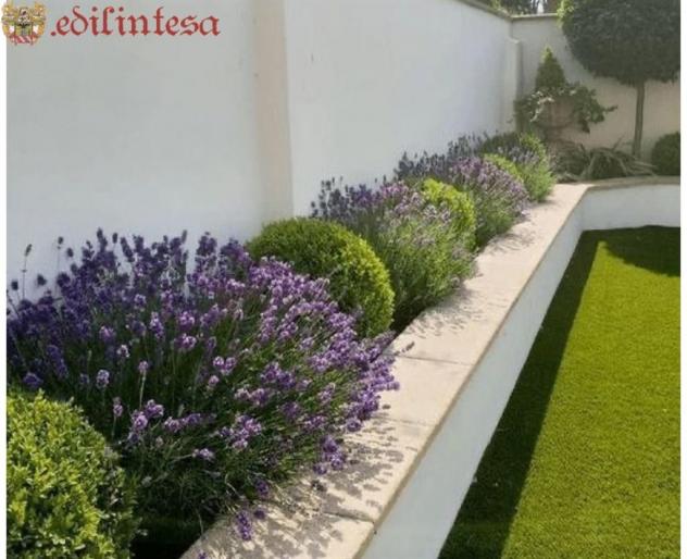 Bilocale Ampio con giardinetto privato - Foto 7