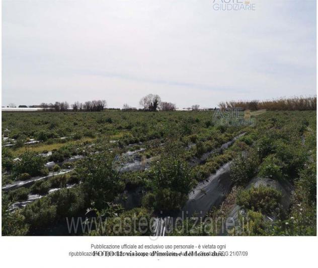 IMMOBILI-ALTRA CATEGORIA-località Case Parrilli