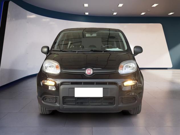 FIAT Panda Panda 1.0 FireFly 70cv S&S Hybrid - Foto 2
