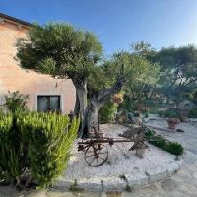 Azienda Agrituristica B&B Contras - Foto 4