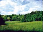 TERRA in Abbondanza
