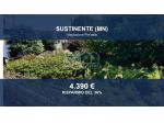 Immobile in asta di 2290 m² in vendita a Sustinente