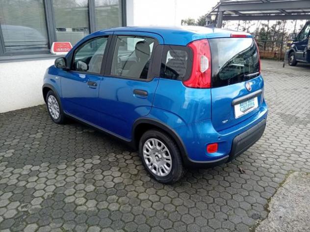 FIAT Panda 1.0 MILD HYBRID MANUALE PANDINA OK NEOPAT. KM ZERO rif. 23681683 - Foto 7