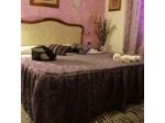 B & B Regina Margherita di Santoro Elvira
