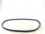 10941425 GUARNIZIONE PORTA ANTERIORE SINISTRA MG MG4 EV STANDARD E 54KW AUT &hellip;