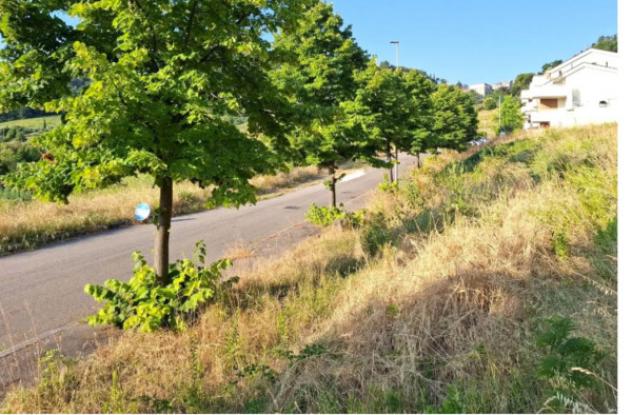 Immobile in asta di 707 m² in vendita a Bertinoro - Foto 11