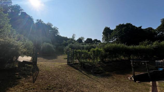 Area verde in vendita a Monteviale - Foto 12