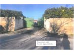 15 - Aranceto con rudere AVOLA