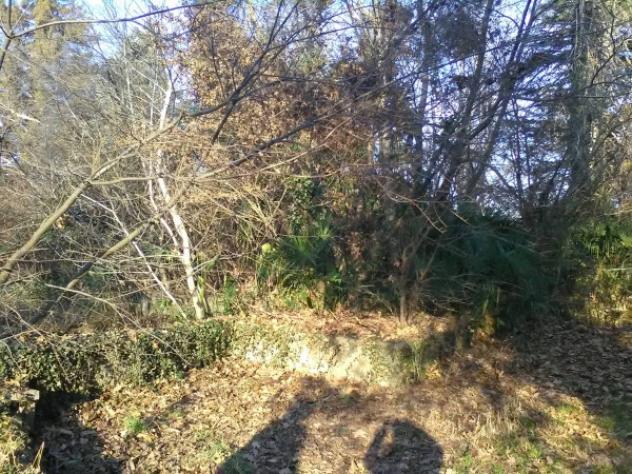 Terreno di 1800 m² in vendita a Porto Valtravaglia
