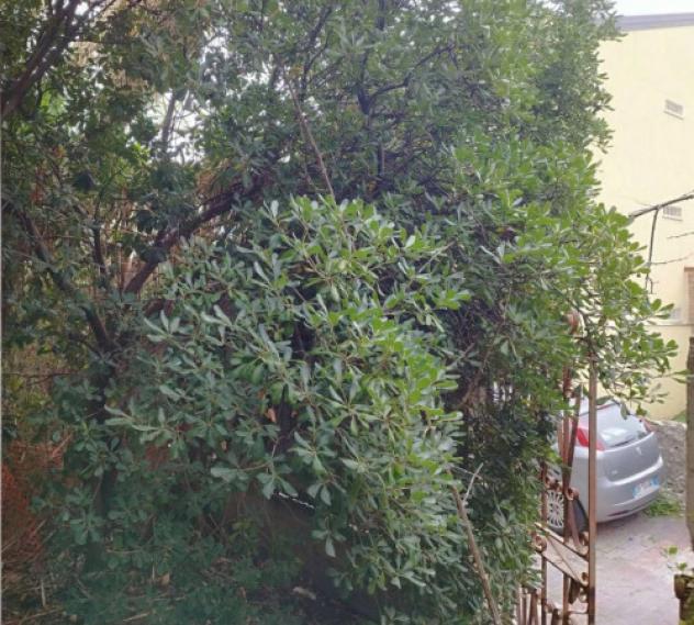 Immobile in asta di 1482 m² in vendita a Sant'Alessio Siculo - Foto 16