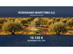Immobile in asta di 6830 m² in vendita a Rosignano Marittimo